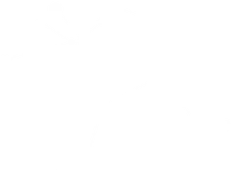 Centaurus (Social Commentary).png
